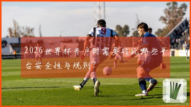 2026世界杯开户时需要对比哪些平台安全性与规则？