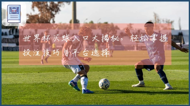 世界杯买球入口大揭秘，轻松掌握投注技巧与平台选择