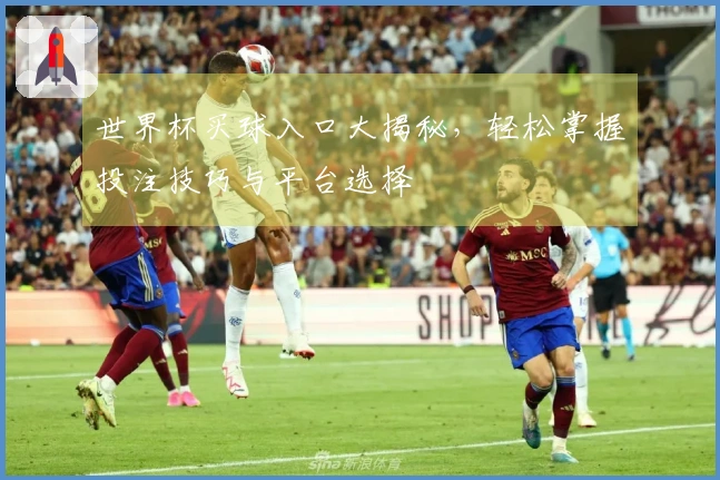 世界杯买球入口大揭秘，轻松掌握投注技巧与平台选择