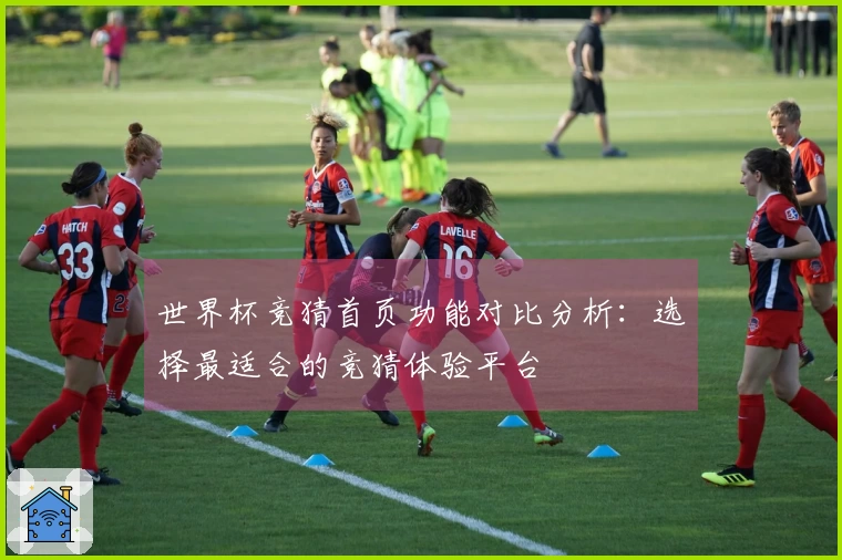 世界杯竞猜首页功能对比分析：选择最适合的竞猜体验平台
