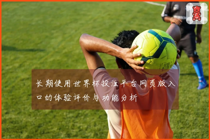 长期使用世界杯投注平台网页版入口的体验评价与功能分析