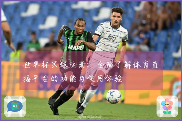 世界杯买球注册:全面了解体育直播平台的功能与使用体验
