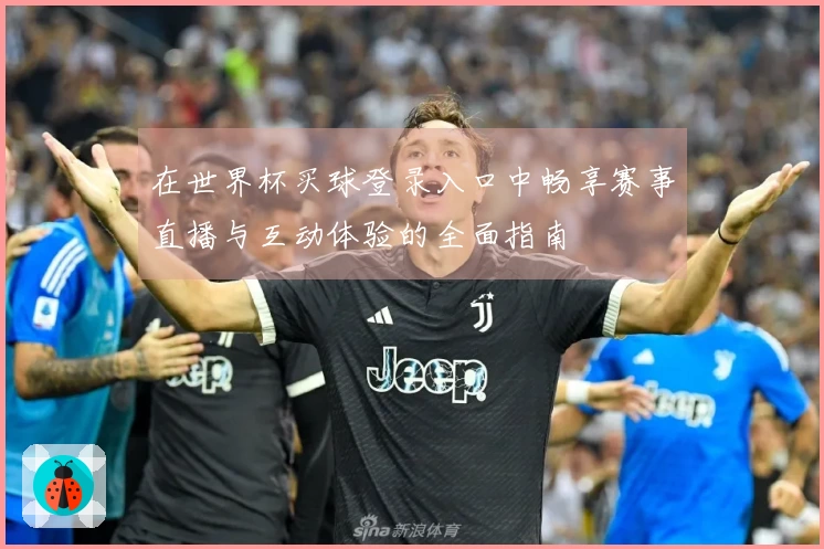 在世界杯买球登录入口中畅享赛事直播与互动体验的全面指南
