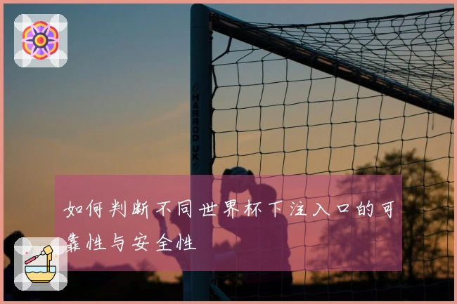 如何判断不同世界杯下注入口的可靠性与安全性